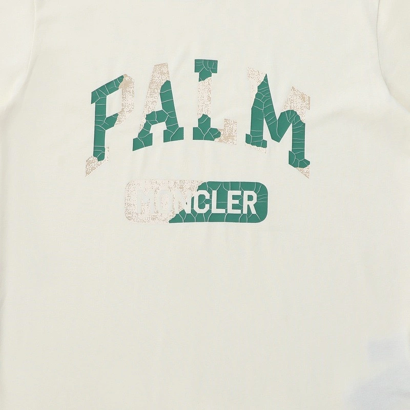 Gemini-- P187 oversized item: D-FL10F0504