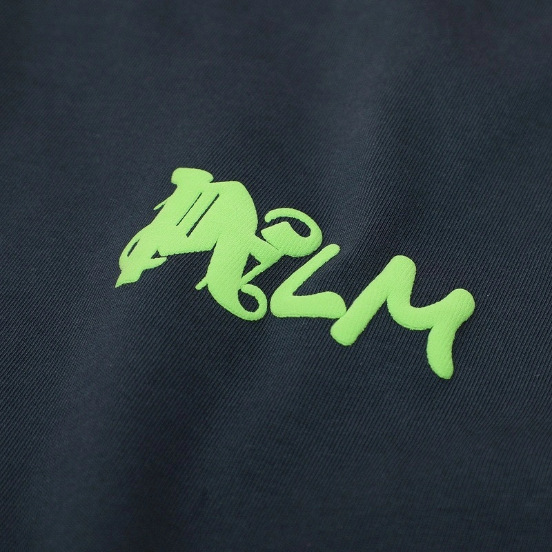 Gemini-- P187 oversized item: D-FL10F0514