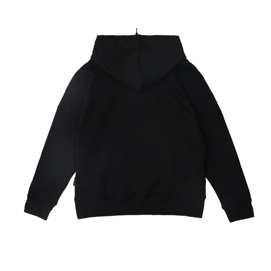 Gemini-- P187 oversized item:D-FL31H1508