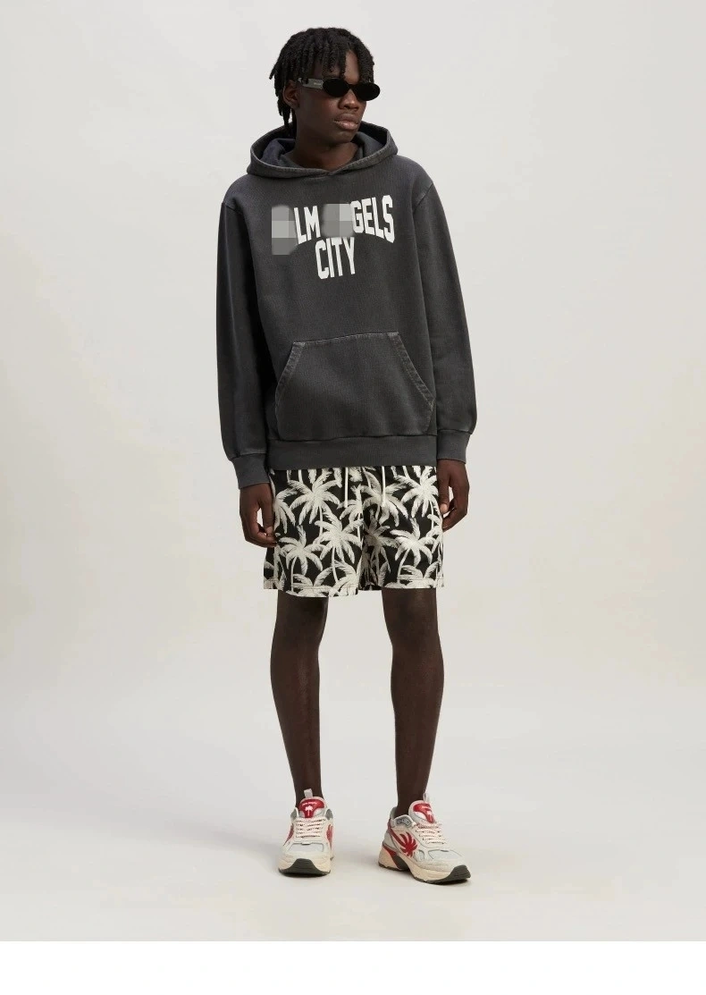 Gemini-- P187 oversized item:E-FL31A0934