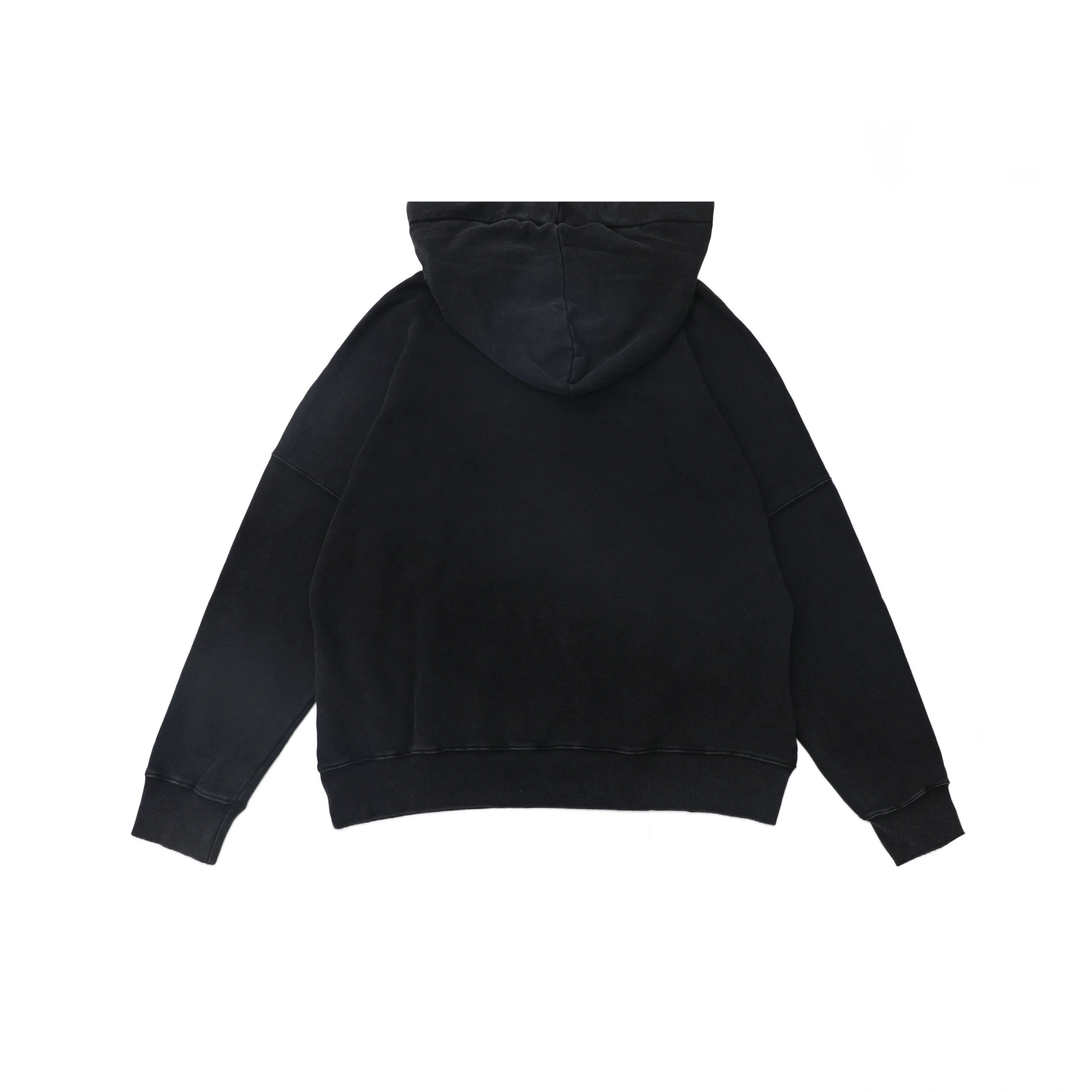 Gemini-- P187 oversized item:E-FL31A0934