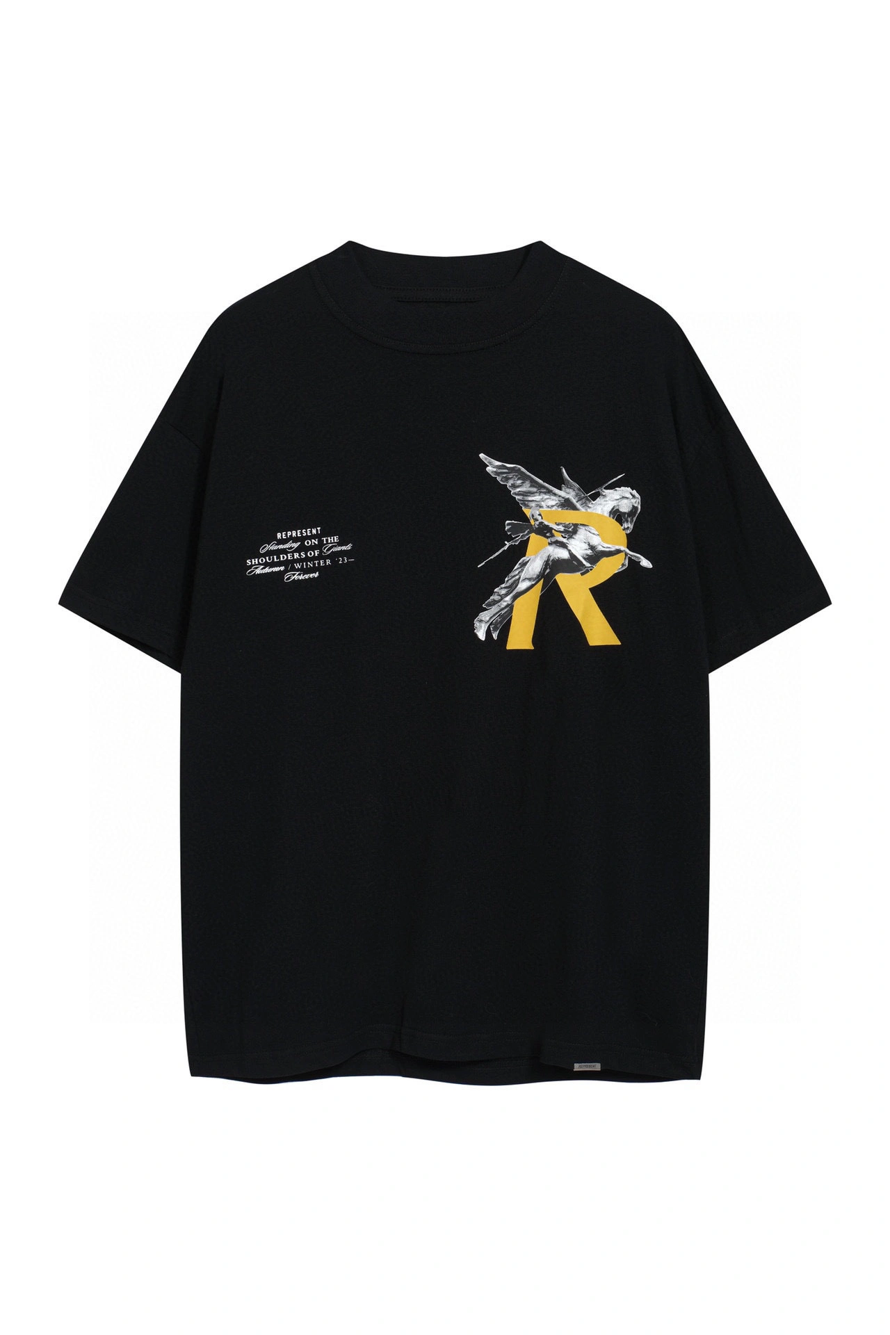 Gemini---logo oversized 2colour item: D-FL09D1781-2