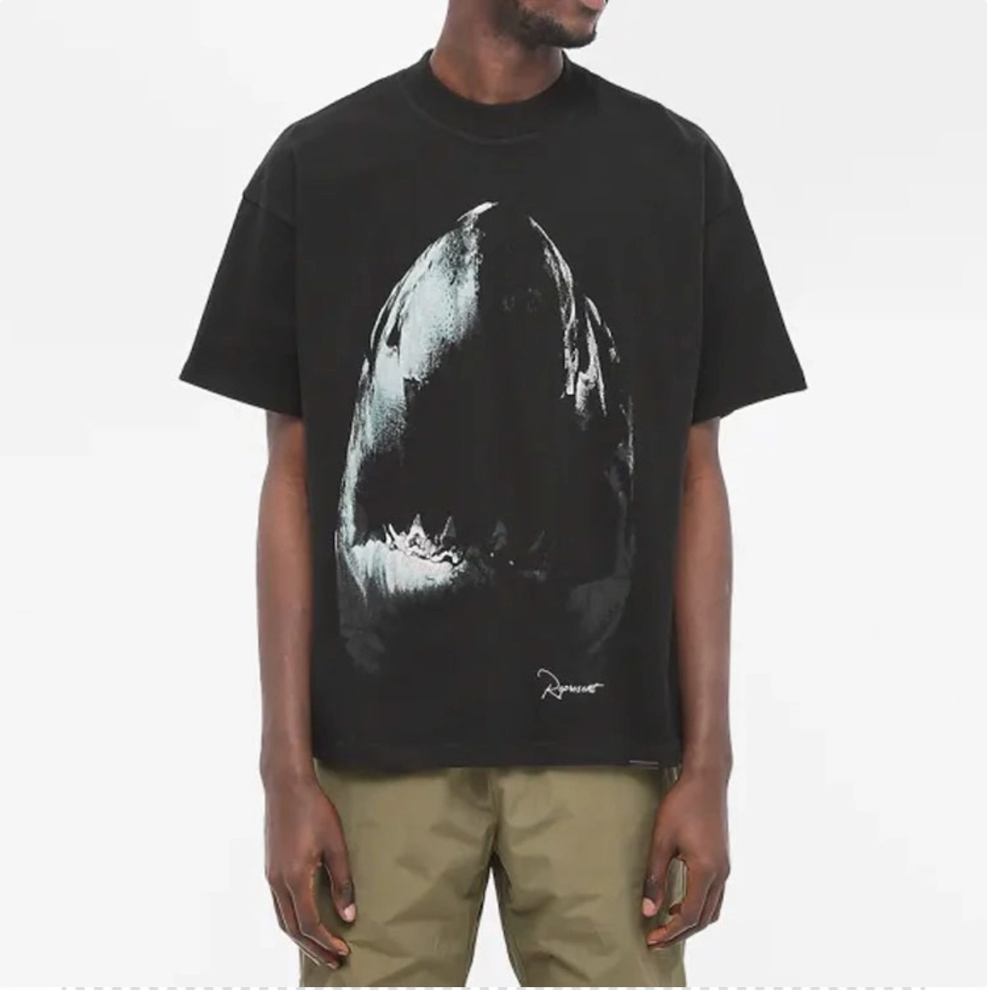 Gemini-- oversized item:C-F073D2211