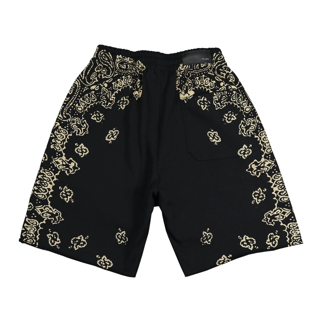Gemini- 17iri oversized item:D-FL29H0118
