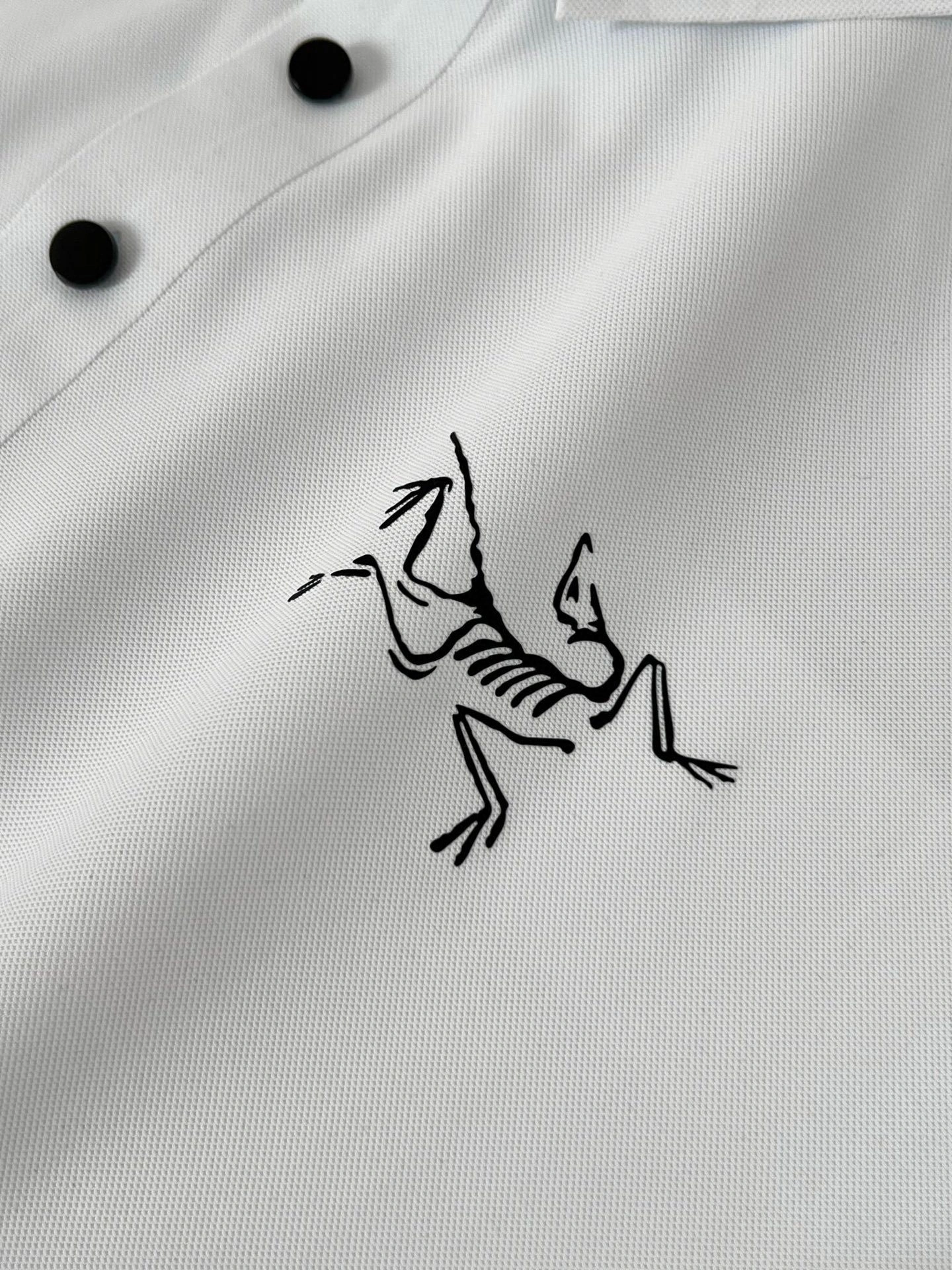 &Gemini- 1r3t5ryx Polo embroidery 2colour item:E-F324C2708-2