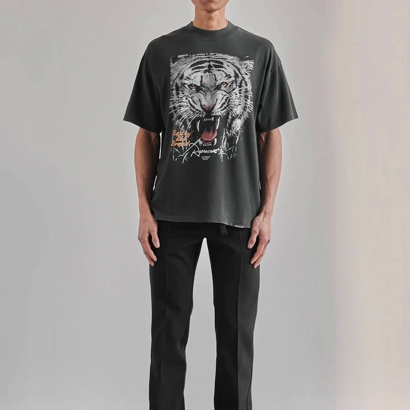 Gemini- 22S oversized item:C-F055F2729