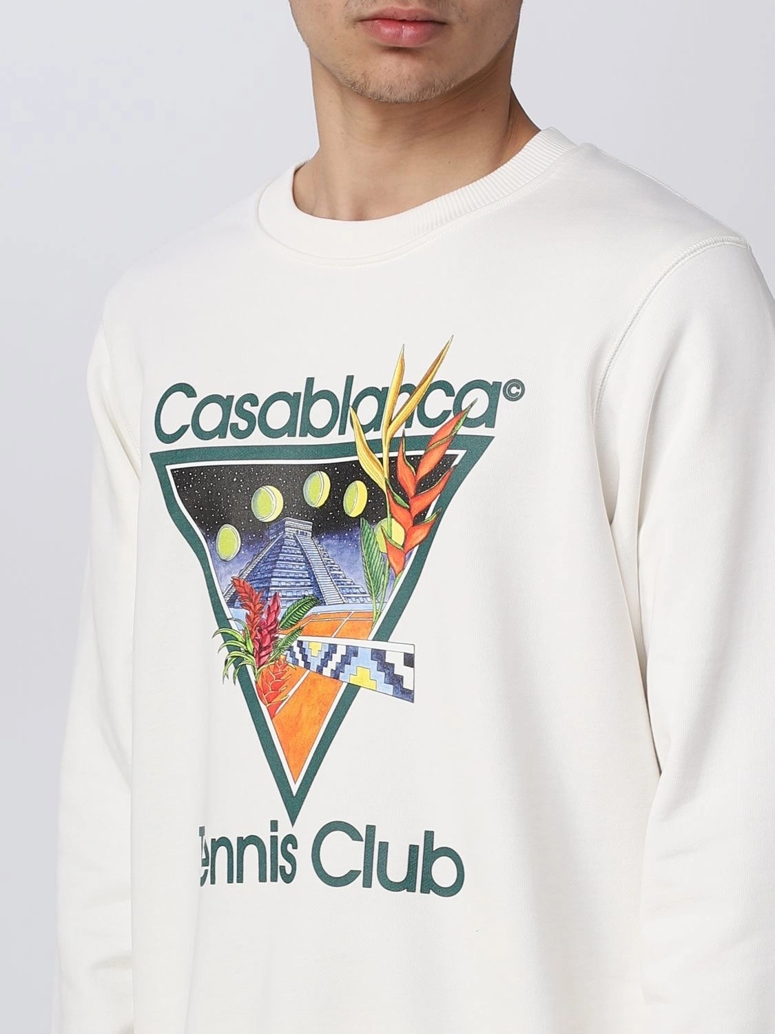 &&&Gemini- 23 2Colour item:C-F324I1458-2