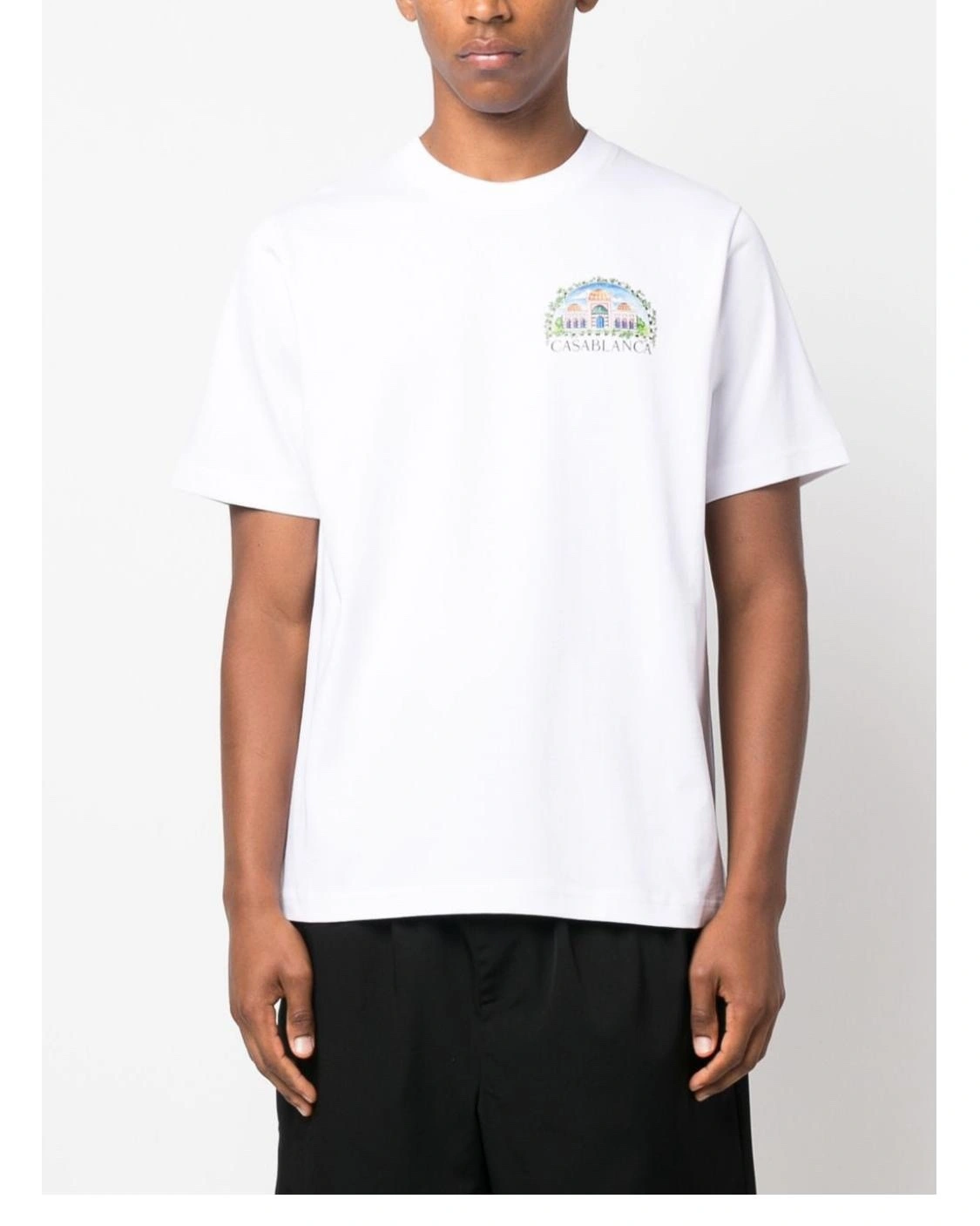 Gemini- 23 logo 2Colour item:C-F324I1403-2