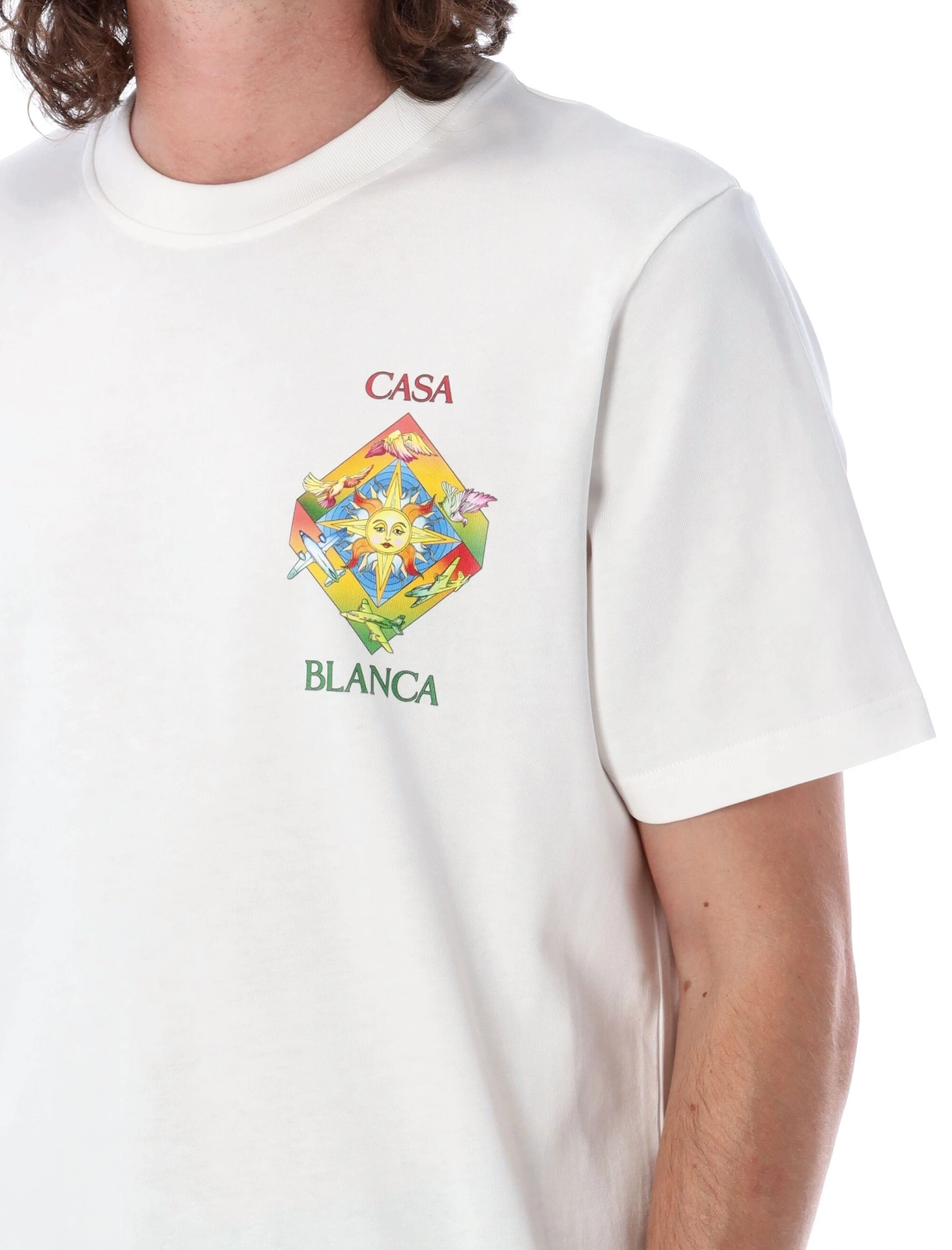 &Gemini- 23 logo 2Colour item:C-F324I1454-2