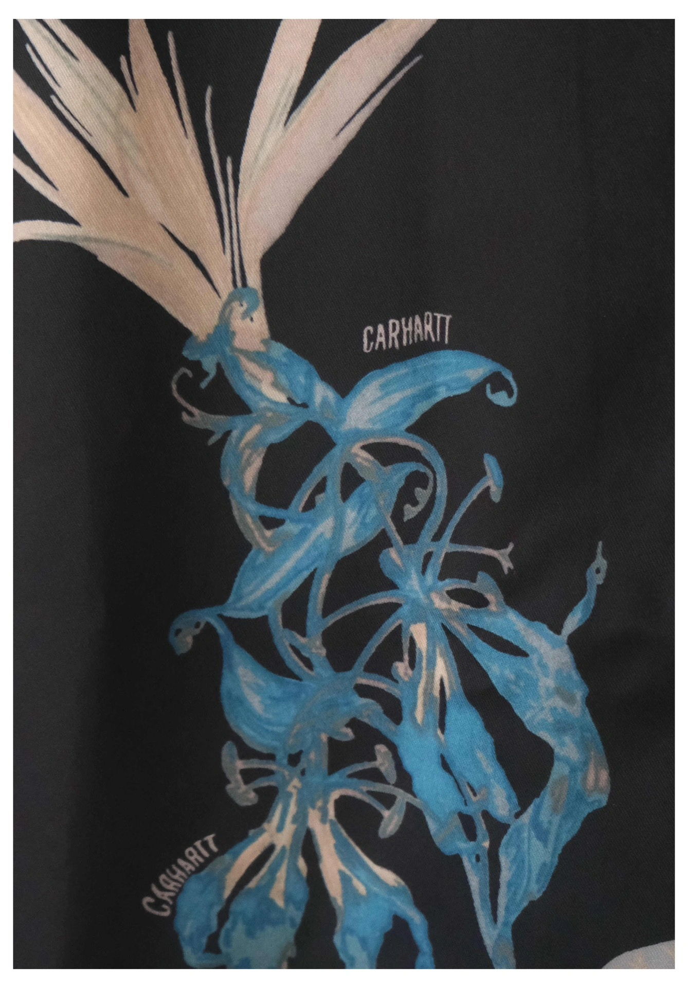 Gemini- 31rh1 oversized item:D-F110H0837