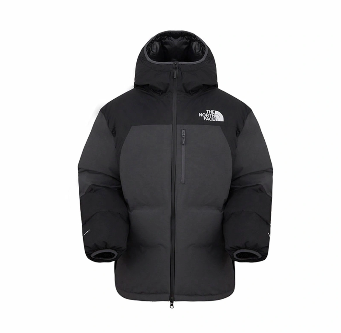 Gemini- F135 GORE-TEX Down jacket 2colour item:E-F524J3027-2