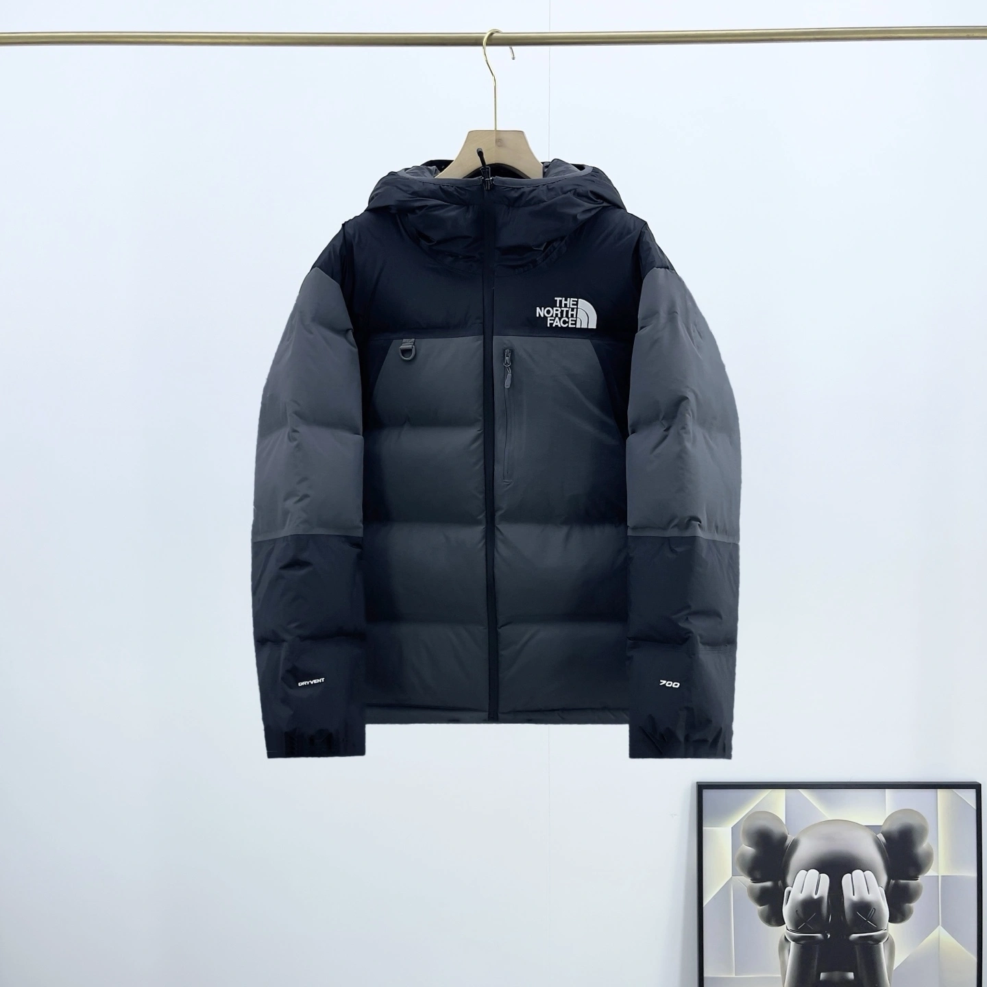 Gemini- F135 GORE-TEX Down jacket 2colour item:E-F524J3027-2