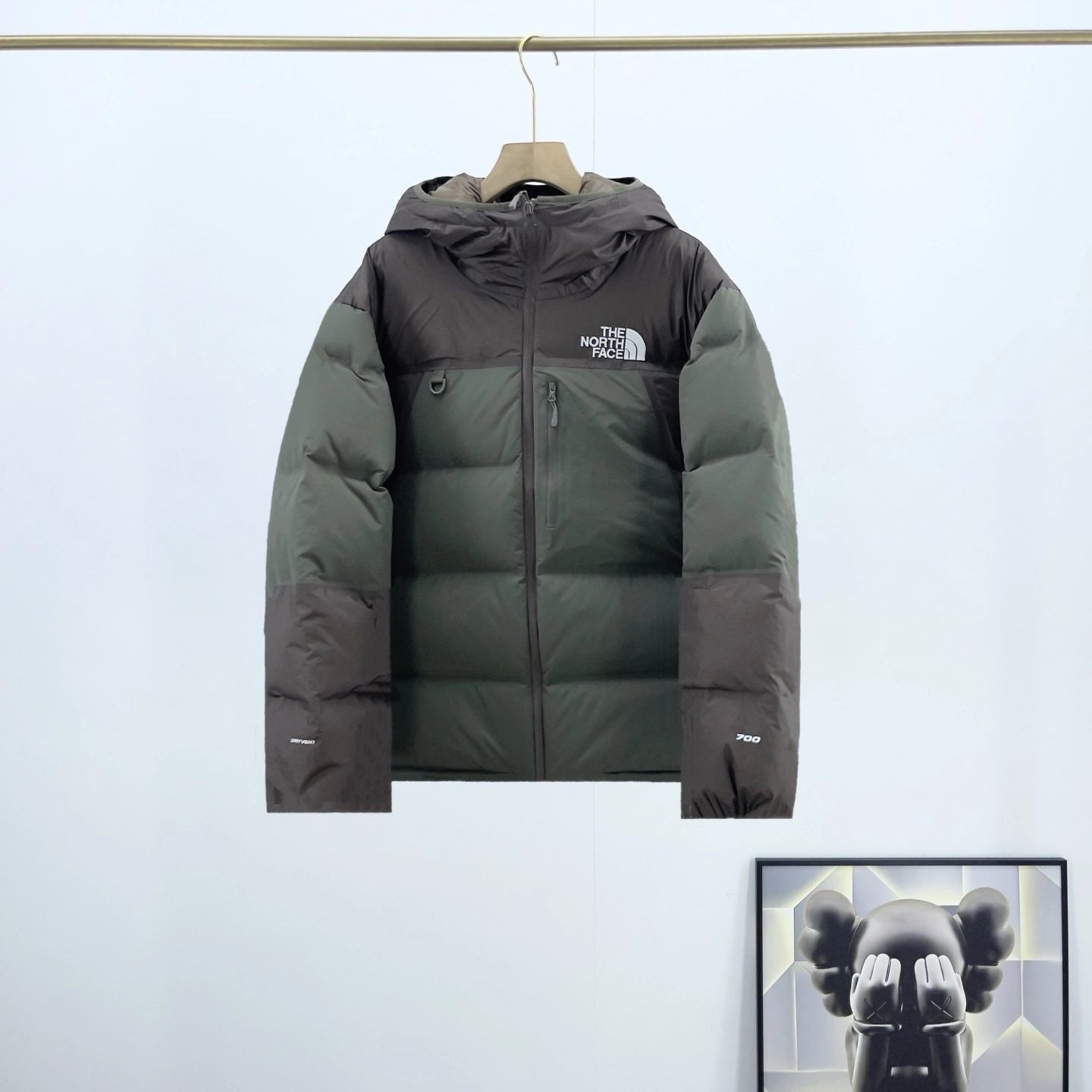 Gemini- F135 GORE-TEX Down jacket 2colour item:E-F524J3027-2