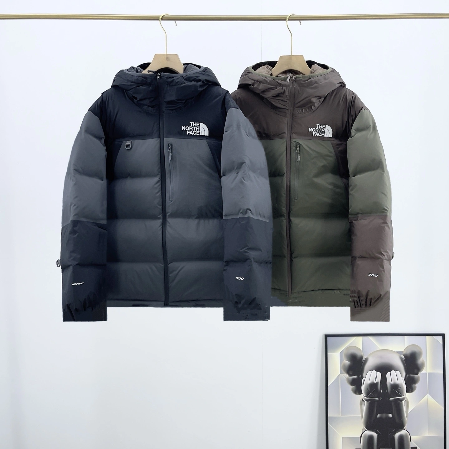 Gemini- F135 GORE-TEX Down jacket 2colour item:E-F524J3027-2