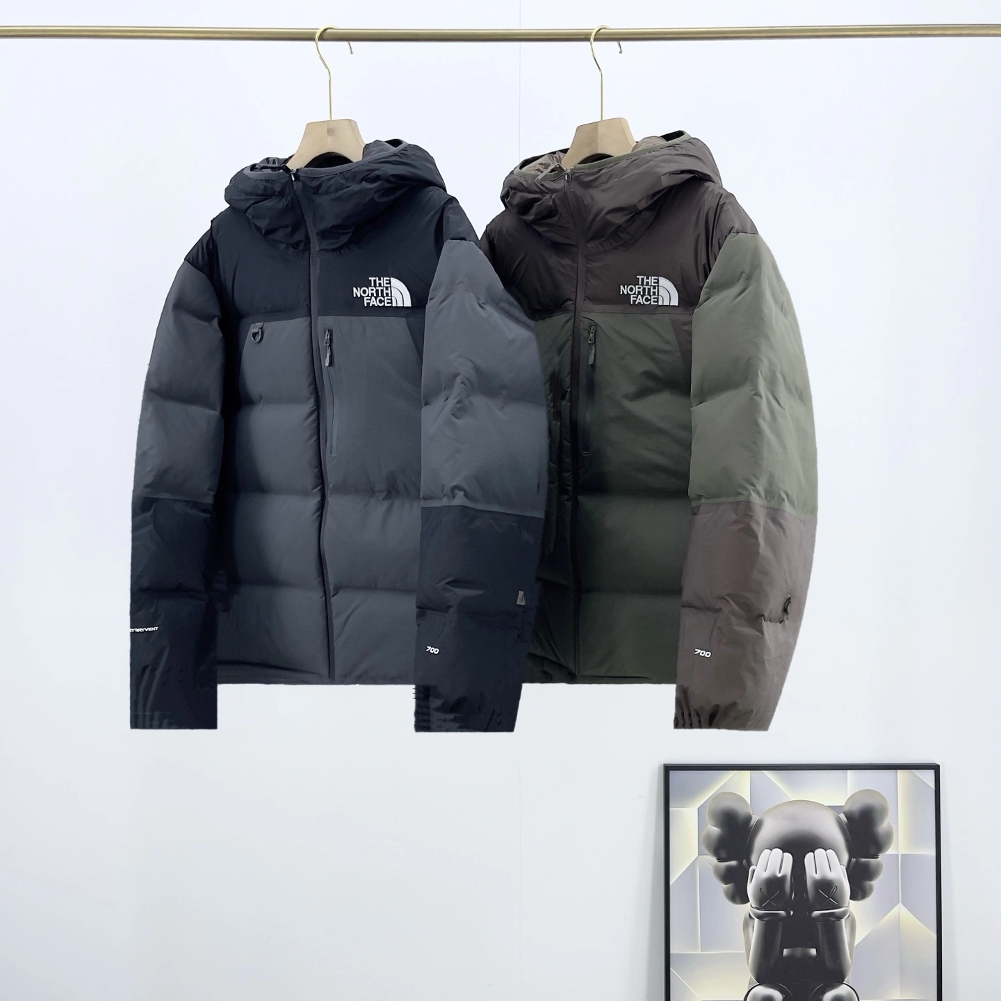 Gemini- F135 GORE-TEX Down jacket 2colour item:E-F524J3027-2
