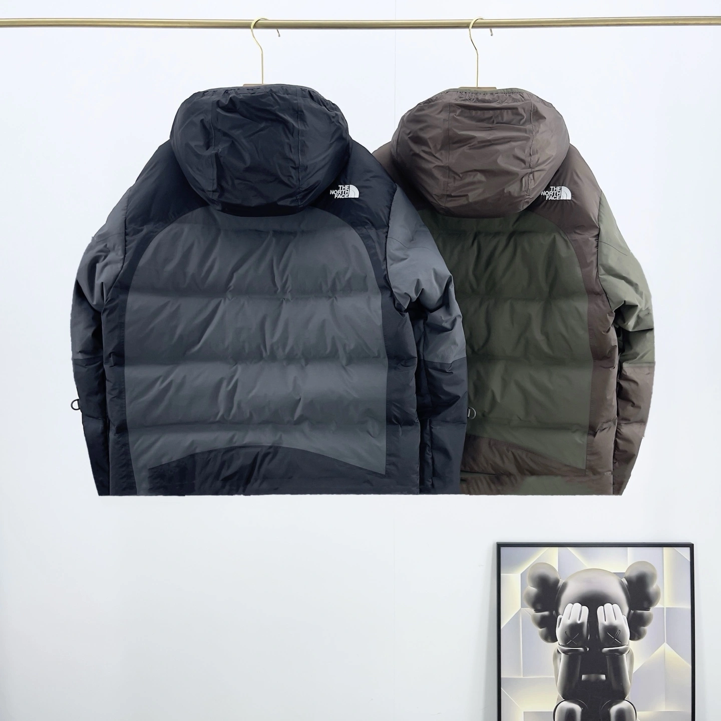 Gemini- F135 GORE-TEX Down jacket 2colour item:E-F524J3027-2