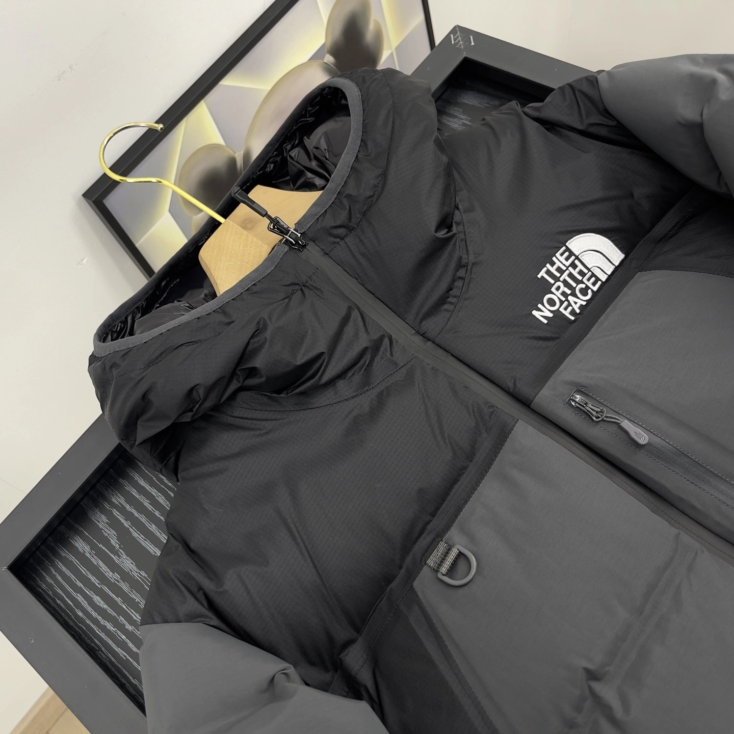 Gemini- F135 GORE-TEX Down jacket 2colour item:E-F524J3027-2