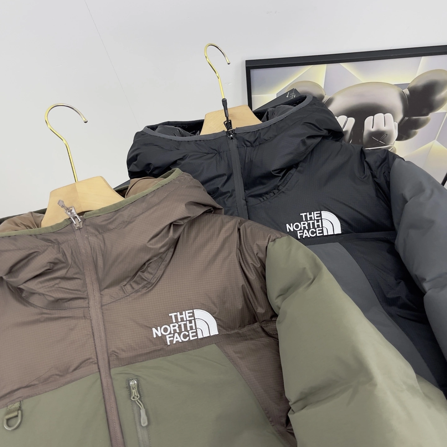 Gemini- F135 GORE-TEX Down jacket 2colour item:E-F524J3027-2