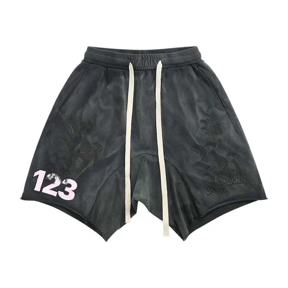 Gemini- R-23 item:D-F377E2901