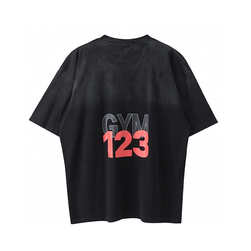 Gemini- R-23 oversized item:D-F377E2903