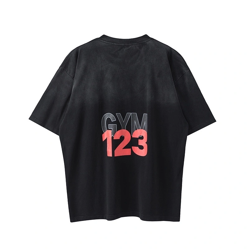 Gemini- R-23 oversized item:D-F377E2904