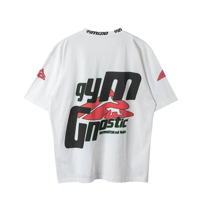 Gemini- R-23 oversized item:D-F377E2906