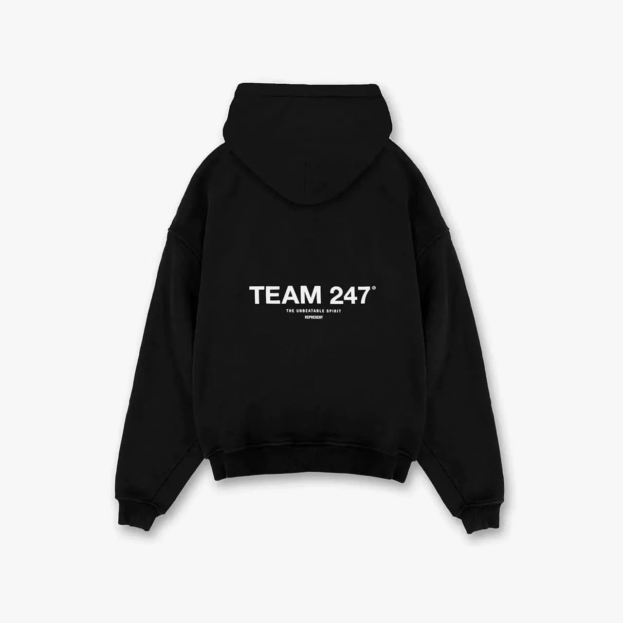 Gemini- R5pr5s59t item:D-FL00L1203
