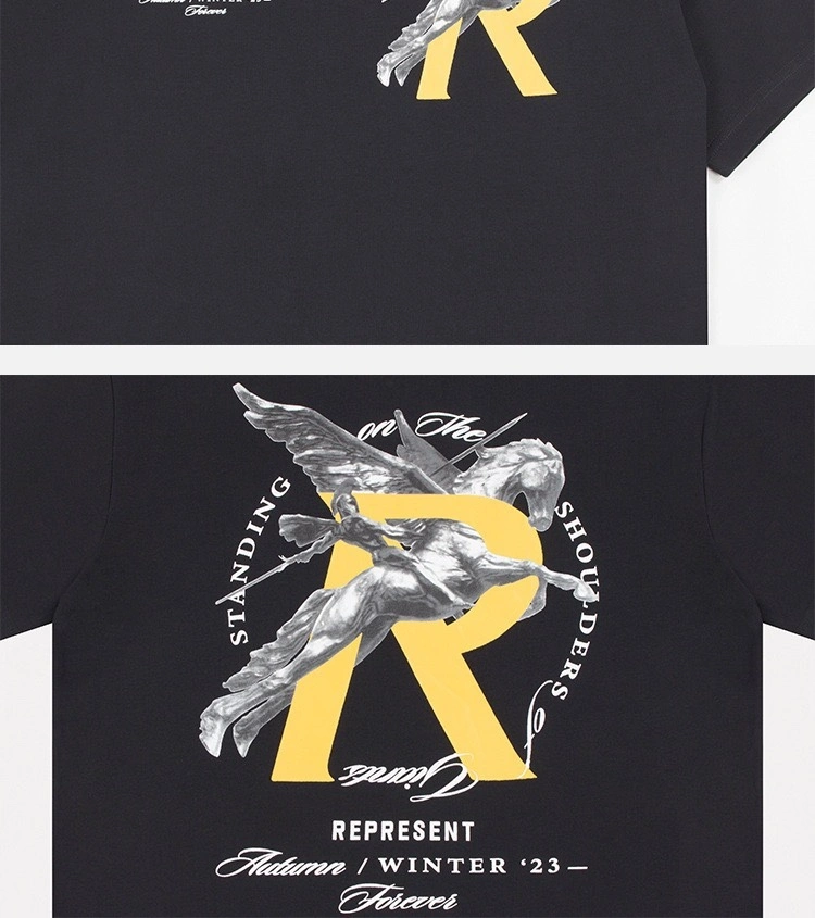Gemini- R5pr5s59t oversized 2colour item:D-F000H0874-2