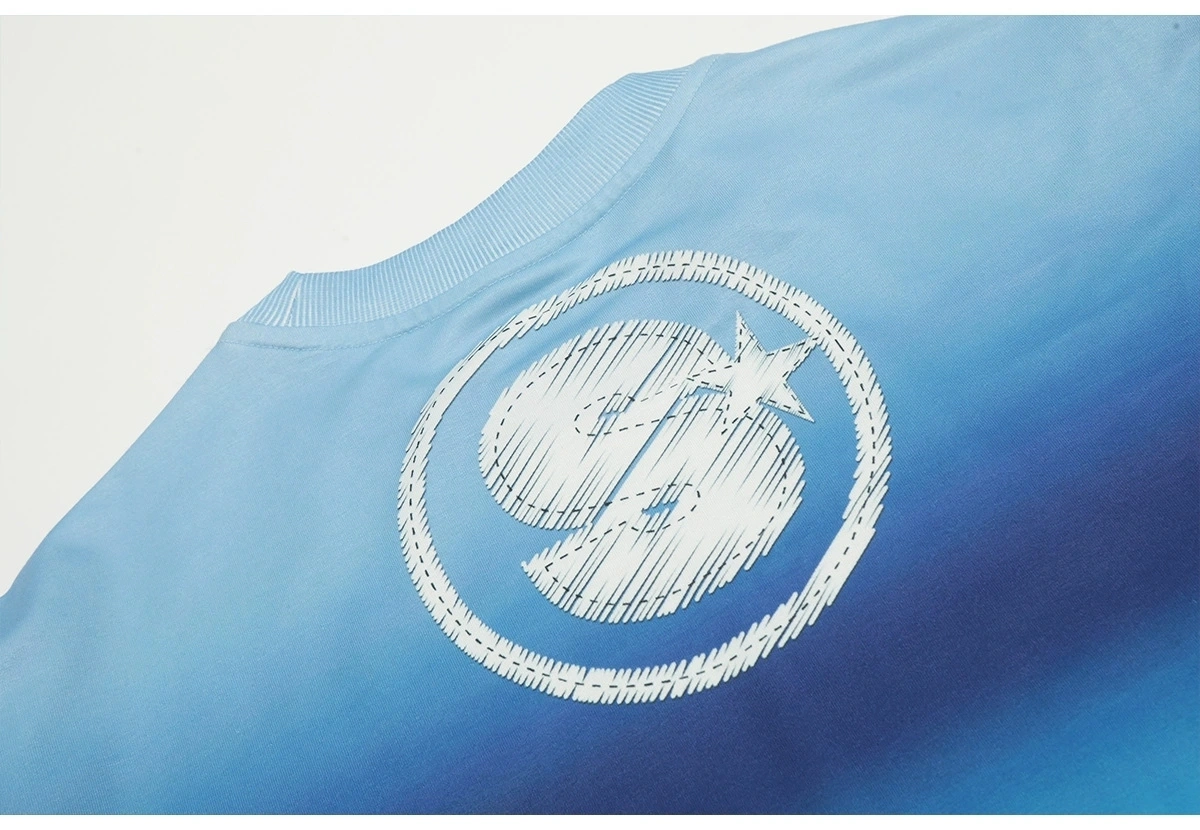 Gemini- S1i9t oversized item:D-FL00K2014