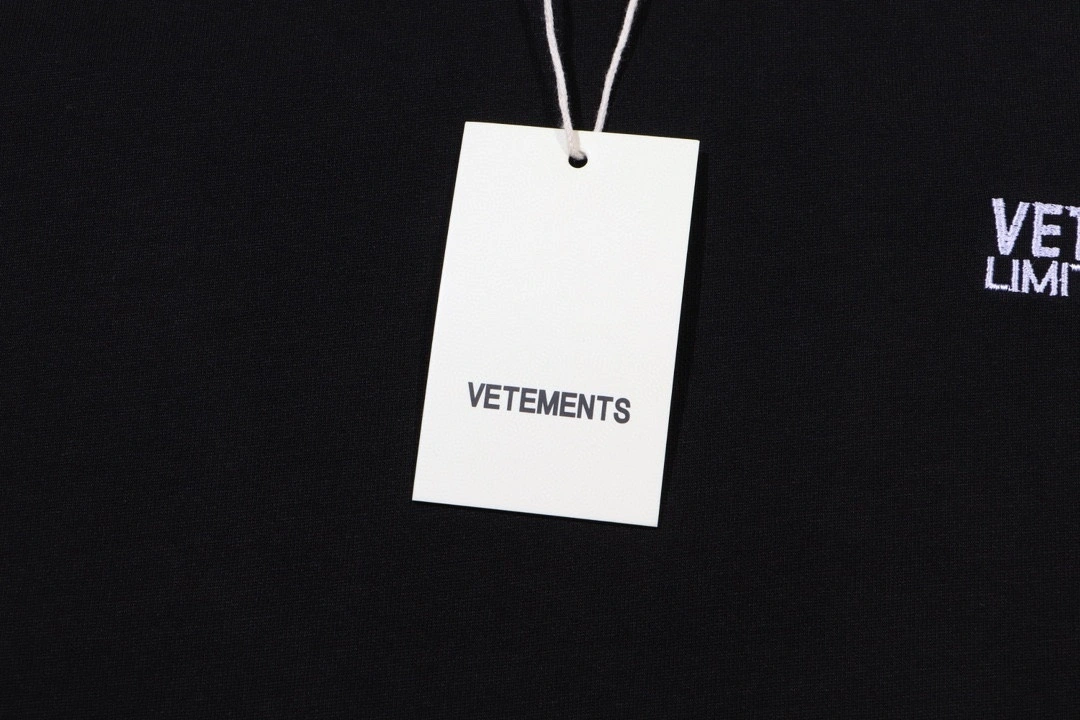 Gemini- V5t5759ts embroidery oversized item:D-FL41E0623