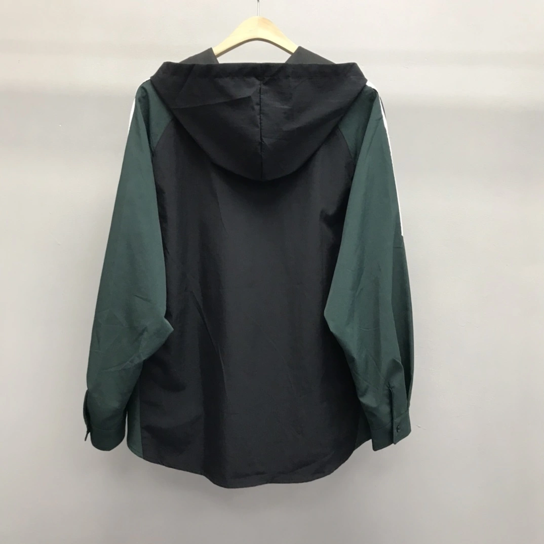 Gemini- item:C-F233I1006
