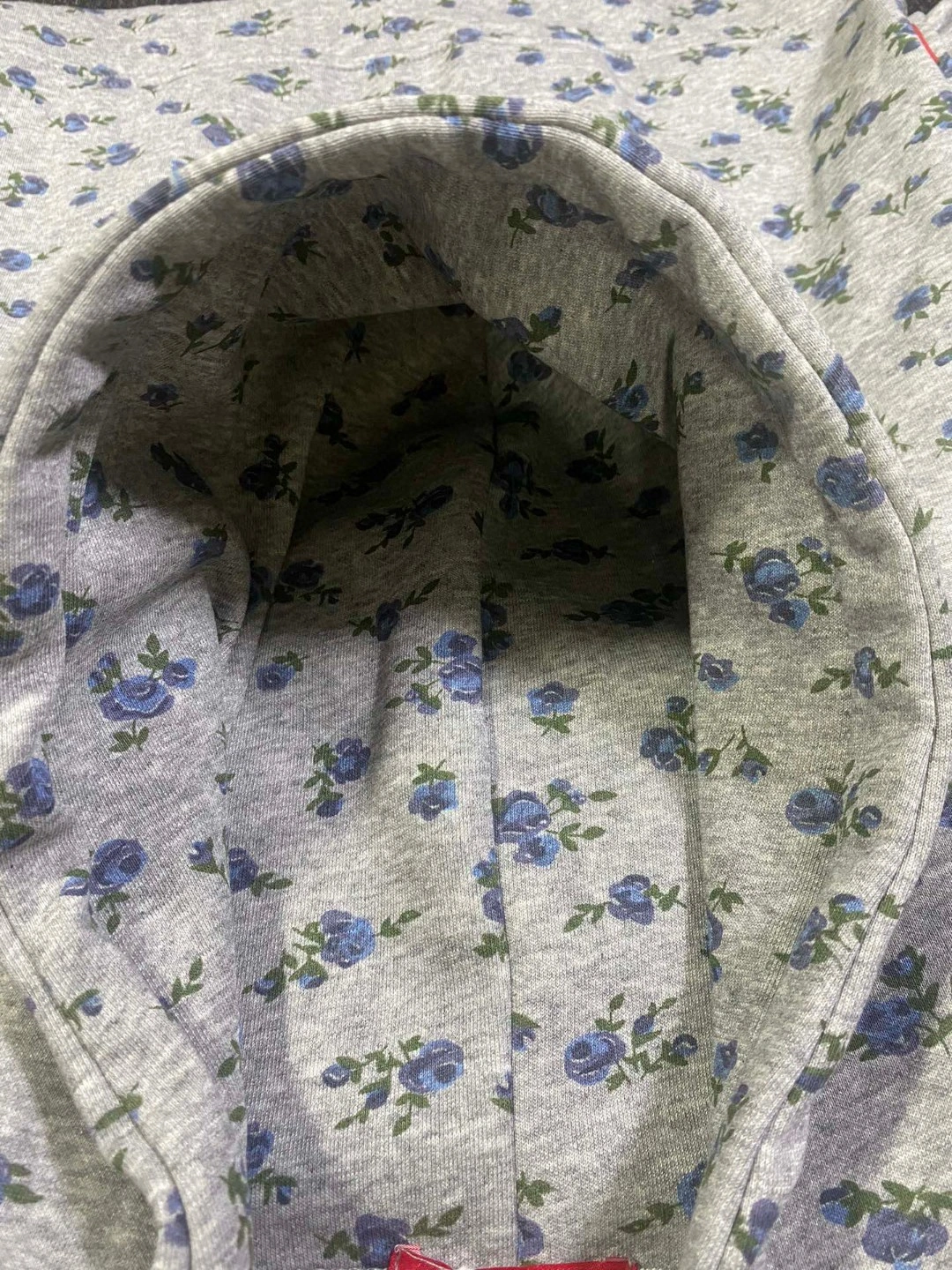 Gemini- item:C-F311K0716