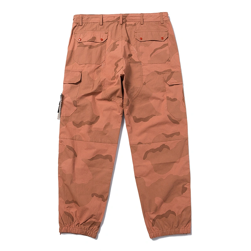Gemini- item:C-F398L0629