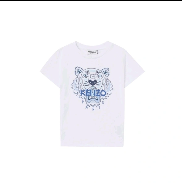 Gemini- item:C-F431C2101