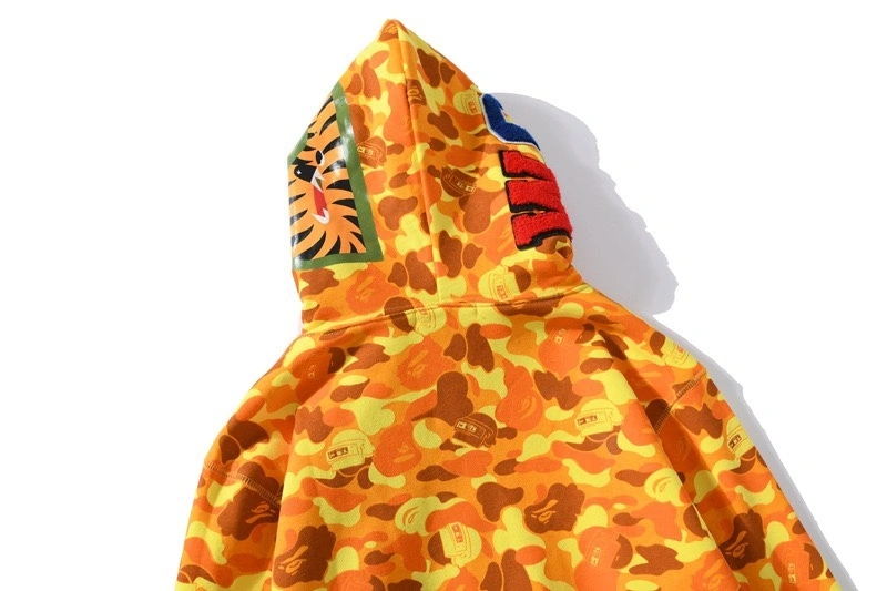 Gemini- item:C-FL00B2104