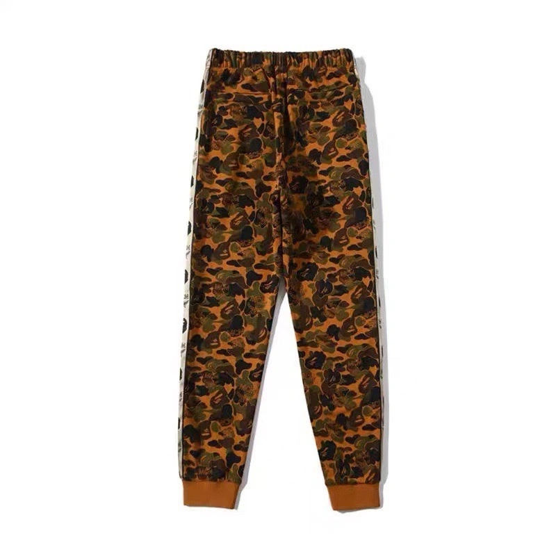 Gemini- item:C-FL00B2302