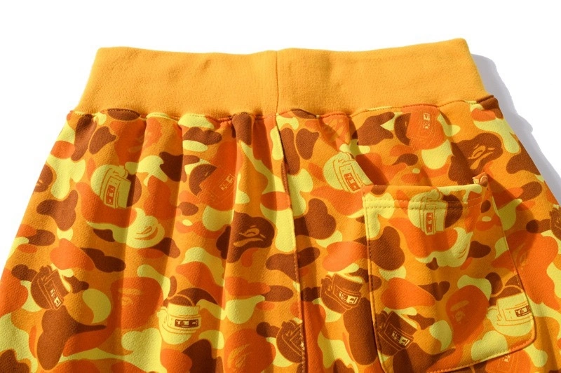 Gemini- item:C-FL00B2305