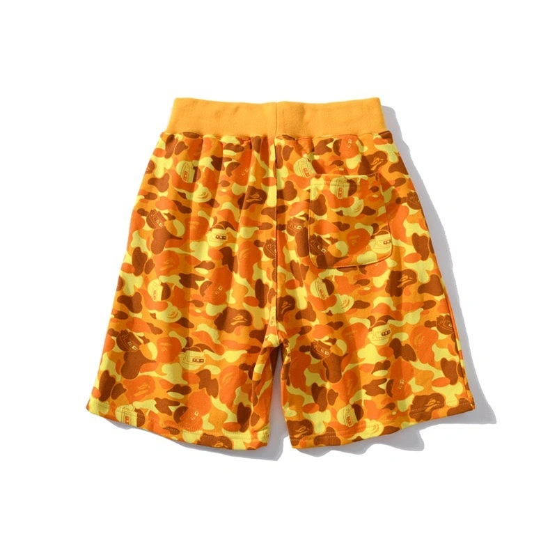 Gemini- item:C-FL00B2305