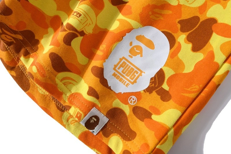 Gemini- item:C-FL00B2305
