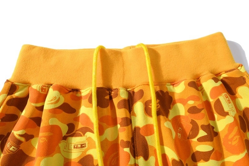 Gemini- item:C-FL00B2305