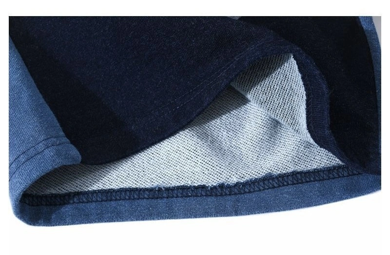 Gemini- item:C-FL00B2701