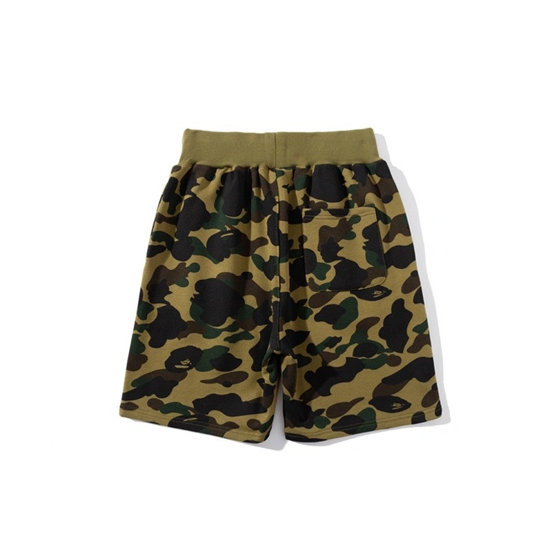 Gemini- item:C-FL00B2702