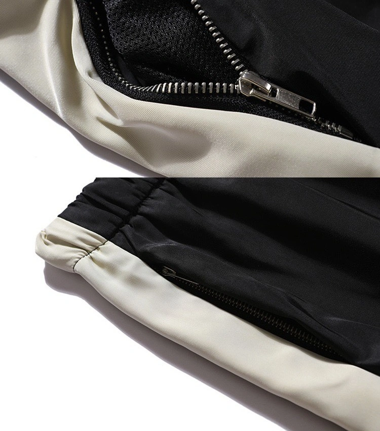 Gemini- item:C-FL01D2339
