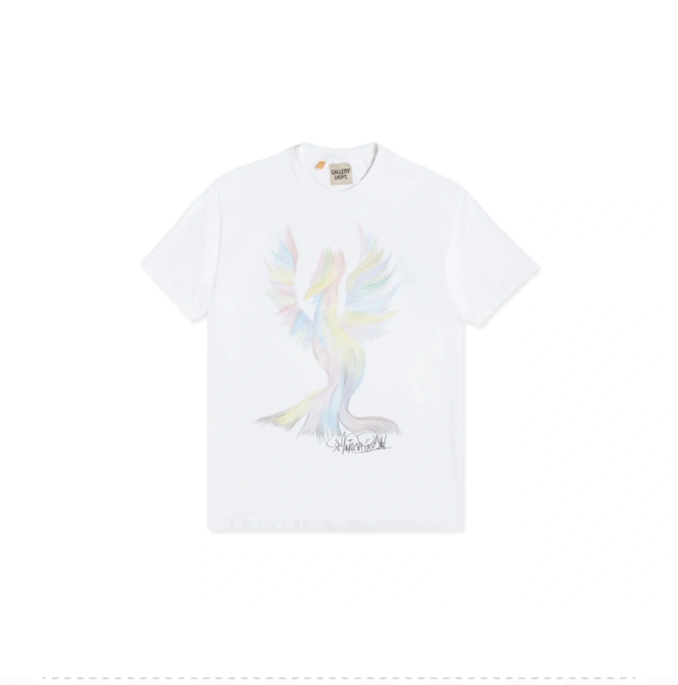 Gemini- item:C-FL02C0869