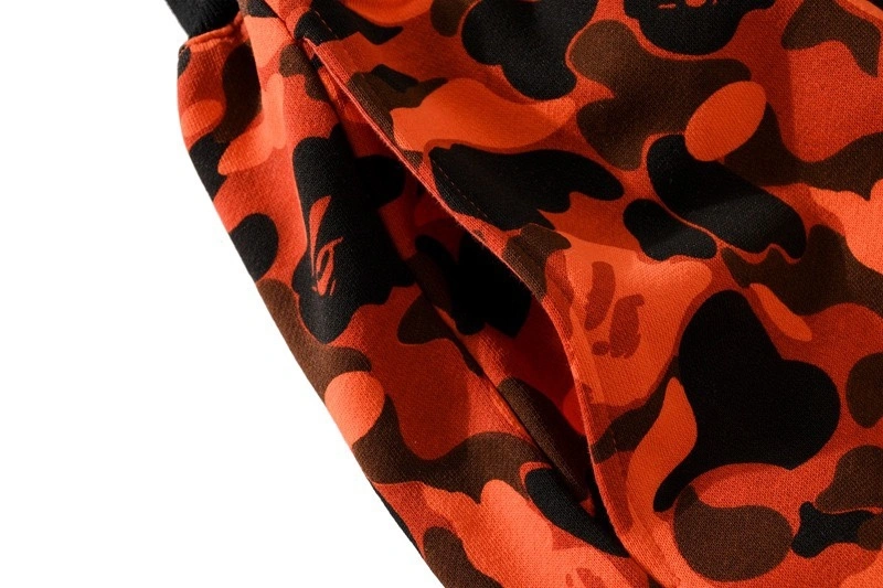 Gemini- item:C-FL05E0802