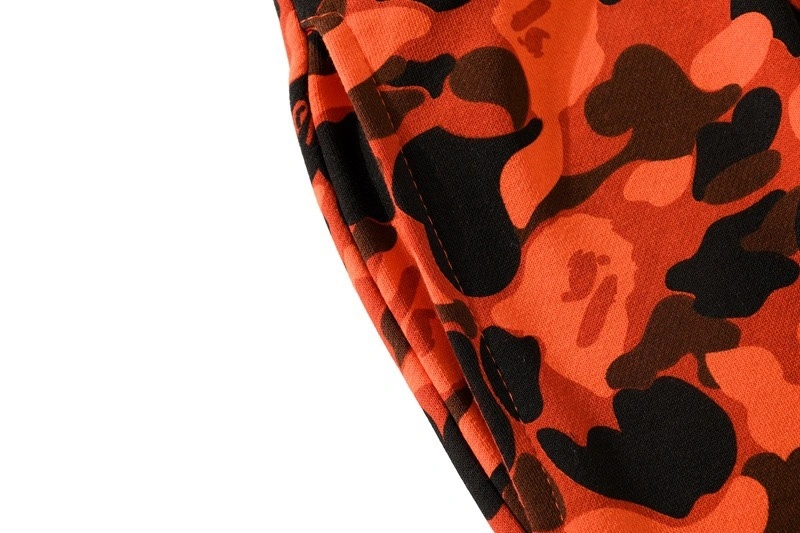 Gemini- item:C-FL05E0802