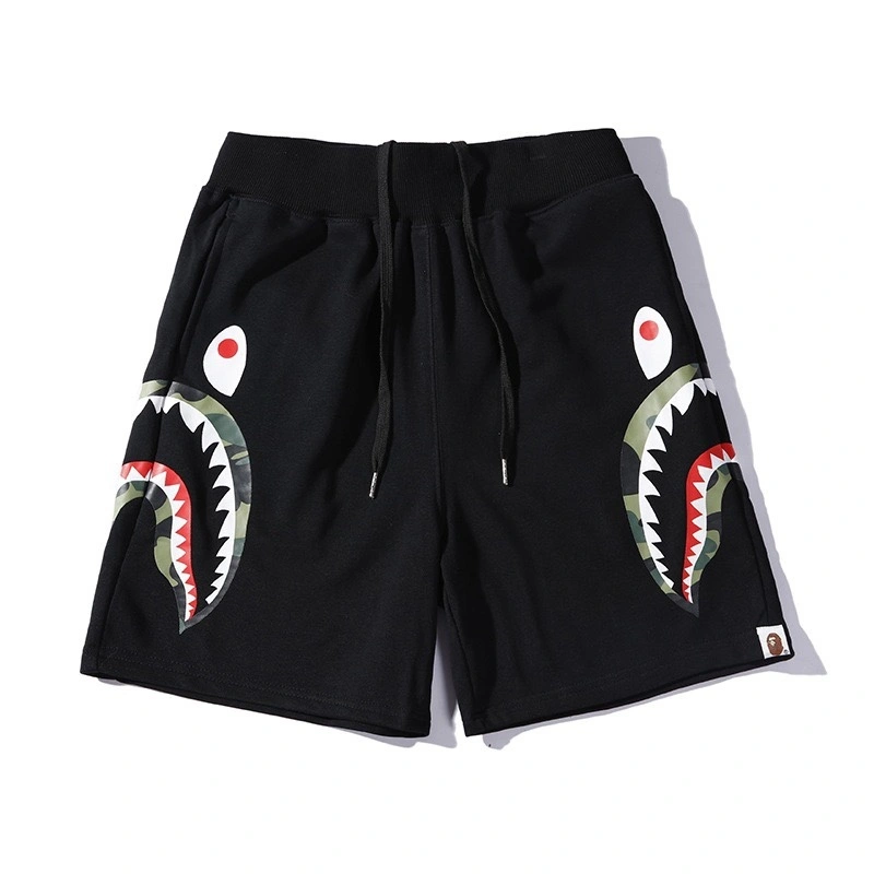 Gemini- item:C-FL05E0809