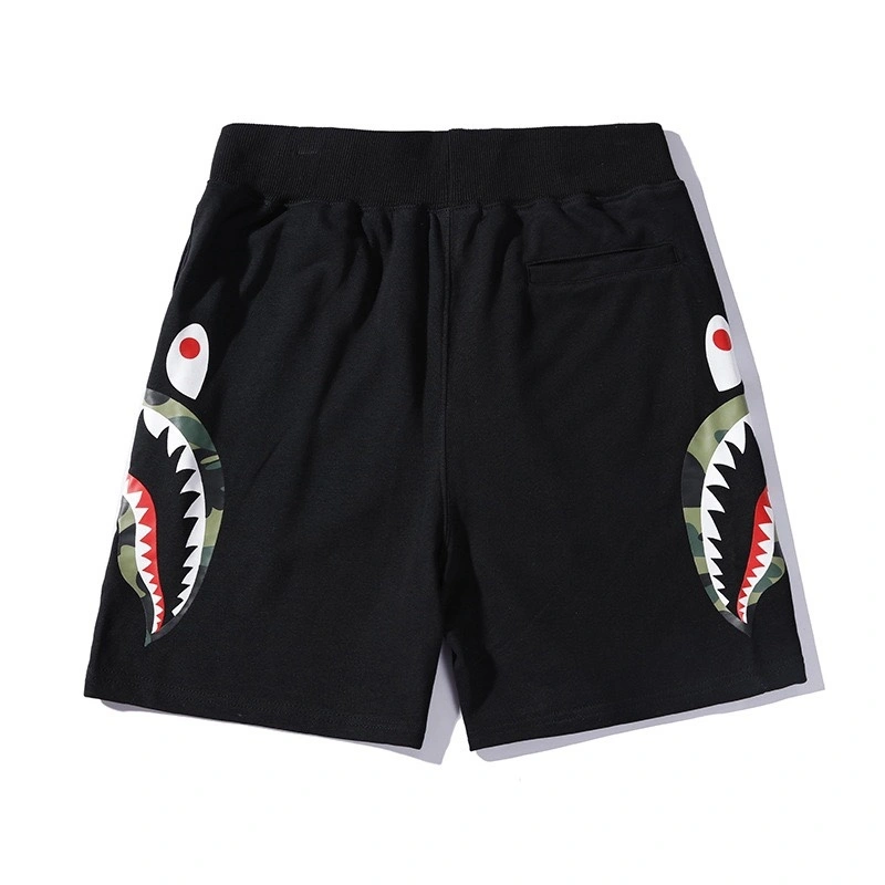 Gemini- item:C-FL05E0809