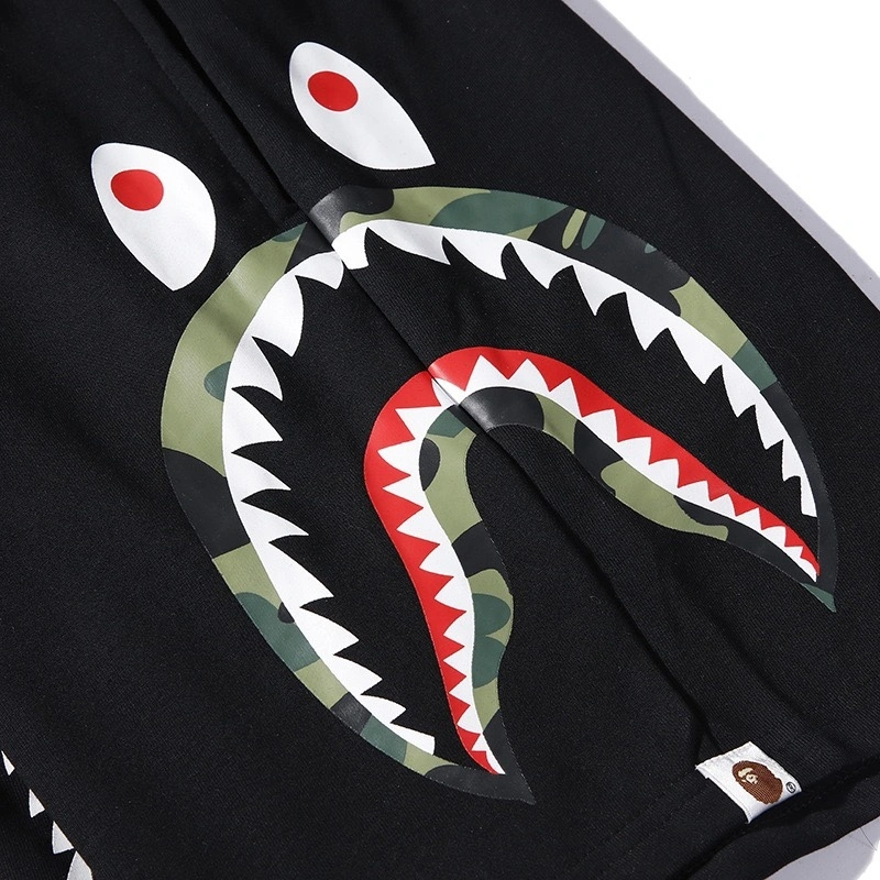Gemini- item:C-FL05E0809