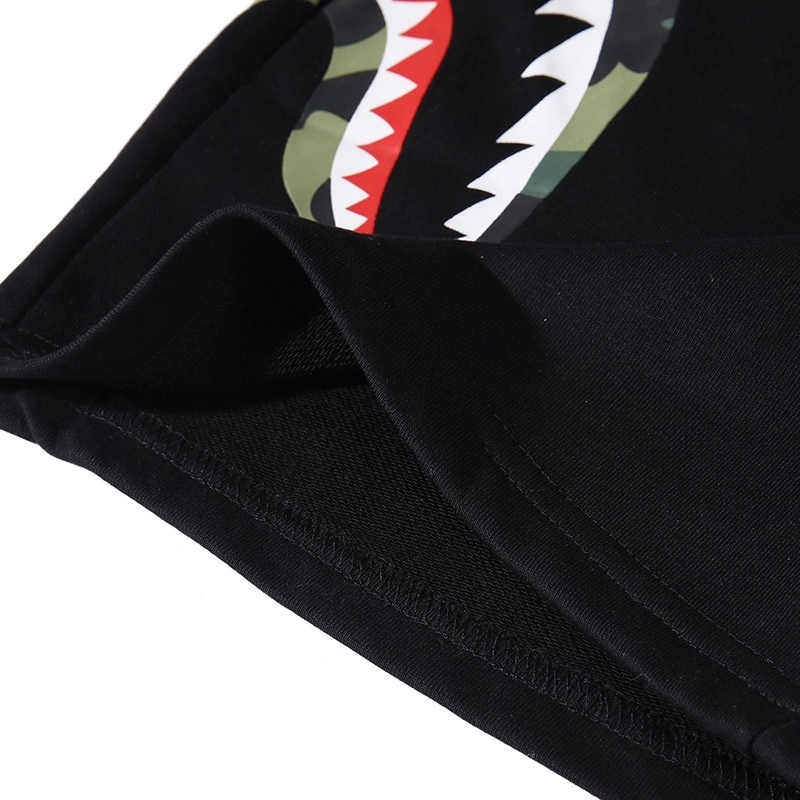 Gemini- item:C-FL05E0809